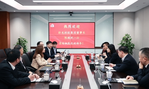 卧龙控股集团董事长陈嫣妮一行到访爱游戏全站app官方网站