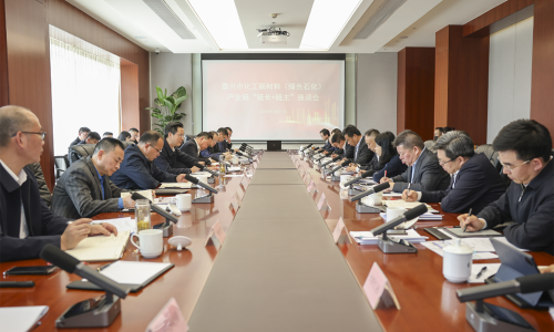 坚持“四化”发展，共话新质生产力丨爱游戏全站app官方网站集团董事长受邀参加嘉兴市化工新材料（绿色石化）产业链“链长+链主”座谈会！