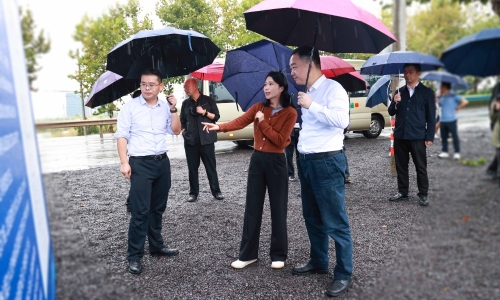 嘉兴市委常委、常务副市长颜海荣莅临爱游戏全站app官方网站项目地调研